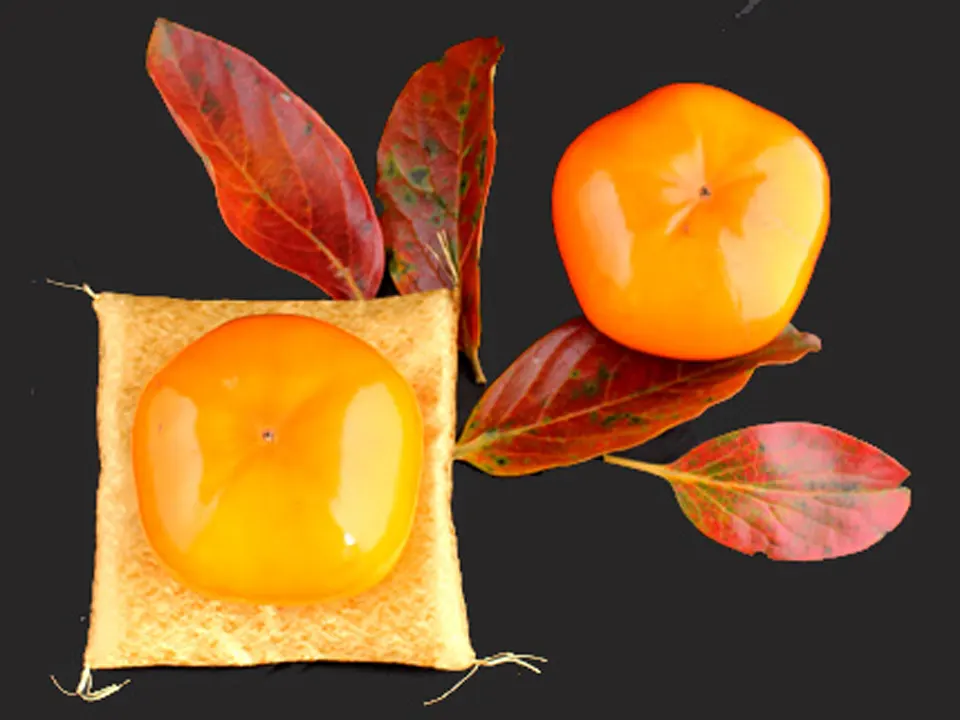 五角形の次郎柿の画像。