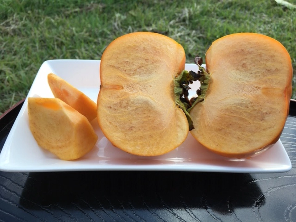 やや硬めの次郎柿を半分に切った断面図の画像。